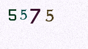 Visual Confirmation Security Code