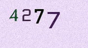 Visual Confirmation Security Code