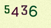 Visual Confirmation Security Code