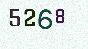 Visual Confirmation Security Code