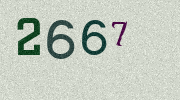 Visual Confirmation Security Code