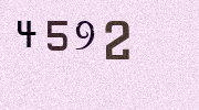 Visual Confirmation Security Code