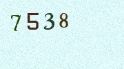 Visual Confirmation Security Code