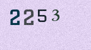 Visual Confirmation Security Code