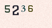 Visual Confirmation Security Code