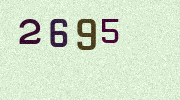 Visual Confirmation Security Code