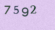 Visual Confirmation Security Code