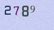 Visual Confirmation Security Code