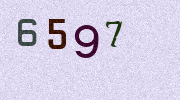 Visual Confirmation Security Code