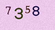 Visual Confirmation Security Code