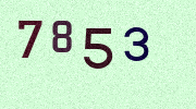 Visual Confirmation Security Code