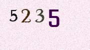Visual Confirmation Security Code