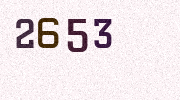 Visual Confirmation Security Code