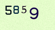 Visual Confirmation Security Code