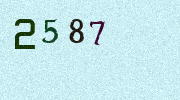 Visual Confirmation Security Code